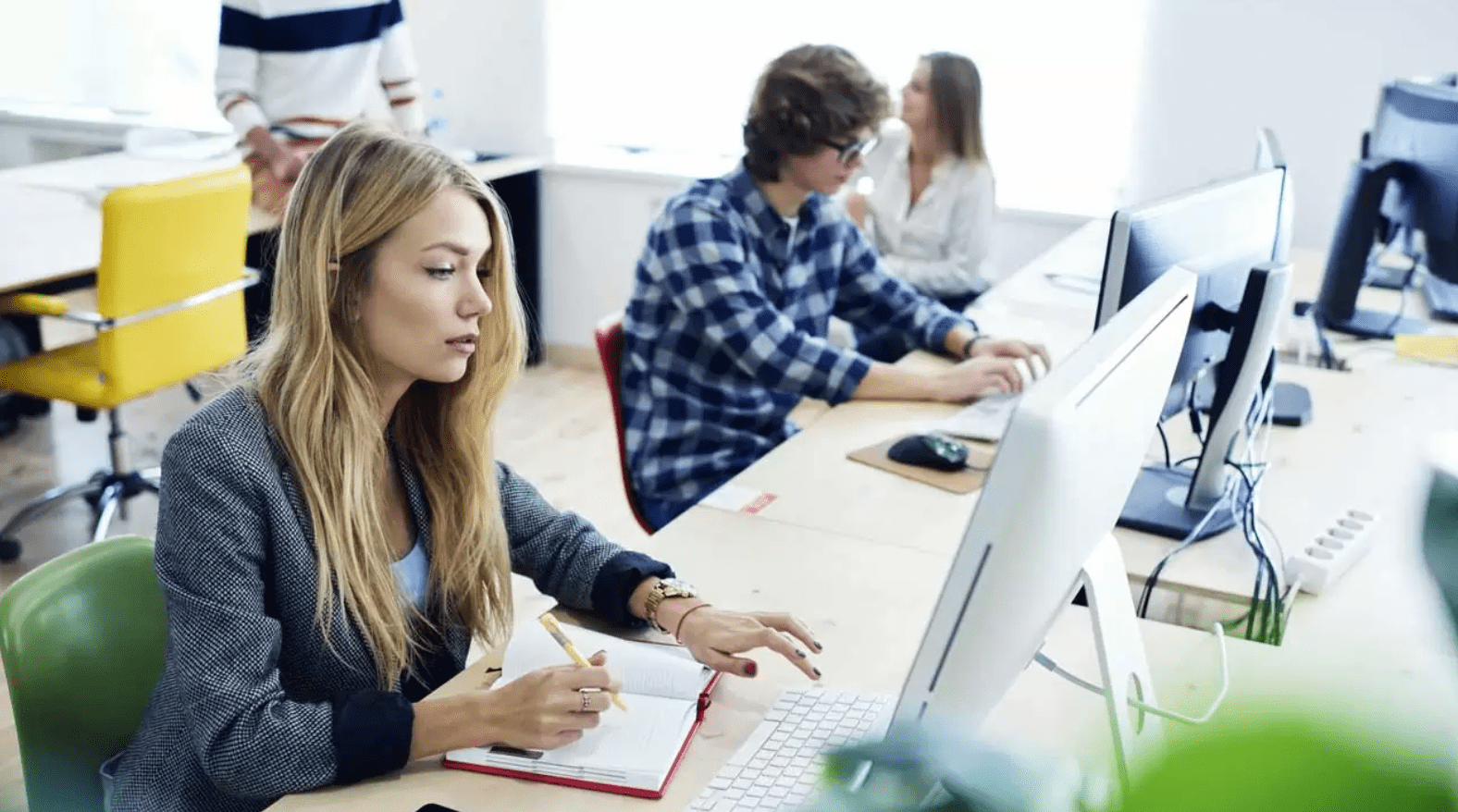 translation services in New York